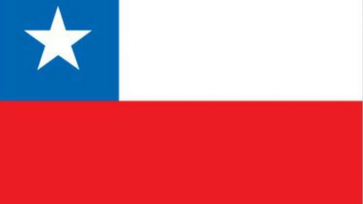 Jin Sei Ryu Karate-Do Chile Branch!
