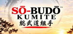 Why Sō-Budō Kumite™, and why now?