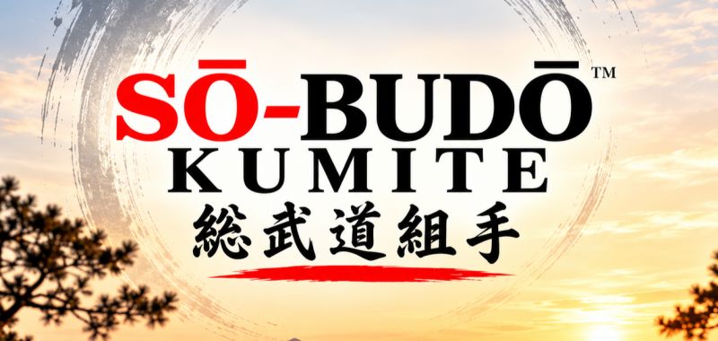 Why Sō-Budō Kumite™, and why now?